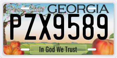 GA license plate PZX9589