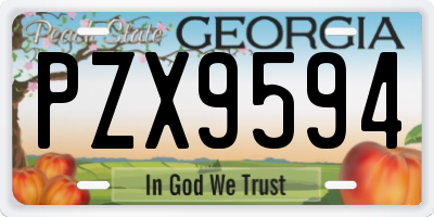 GA license plate PZX9594