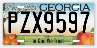GA license plate PZX9597