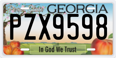 GA license plate PZX9598