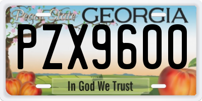 GA license plate PZX9600