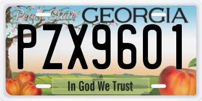 GA license plate PZX9601