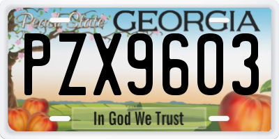 GA license plate PZX9603