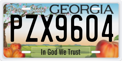 GA license plate PZX9604