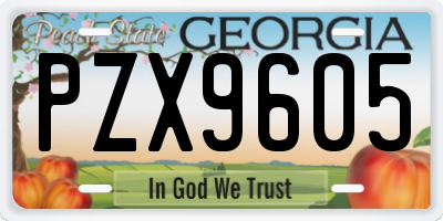 GA license plate PZX9605