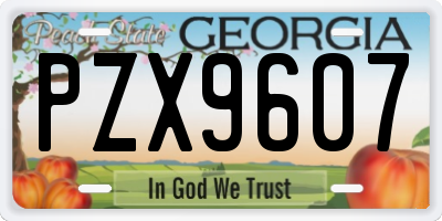 GA license plate PZX9607
