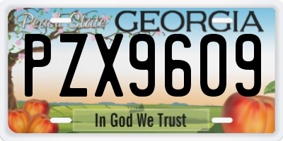 GA license plate PZX9609