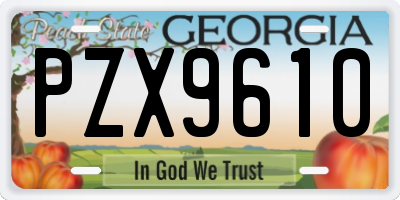 GA license plate PZX9610