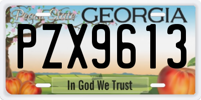 GA license plate PZX9613