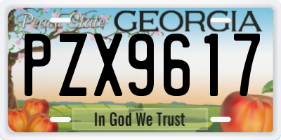 GA license plate PZX9617