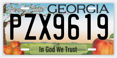 GA license plate PZX9619