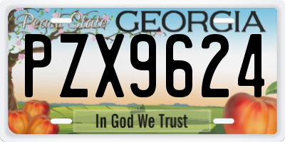 GA license plate PZX9624