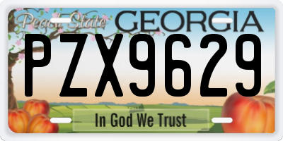GA license plate PZX9629