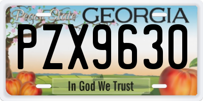 GA license plate PZX9630