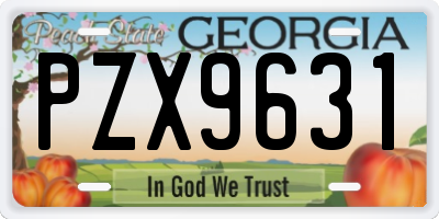 GA license plate PZX9631