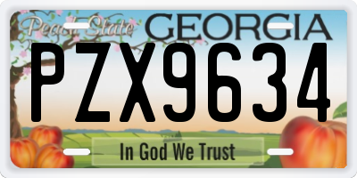 GA license plate PZX9634