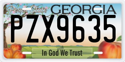 GA license plate PZX9635