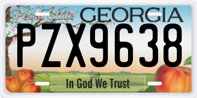 GA license plate PZX9638