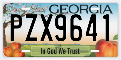 GA license plate PZX9641