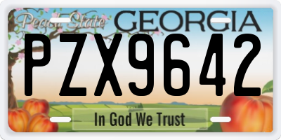 GA license plate PZX9642