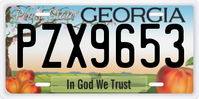GA license plate PZX9653