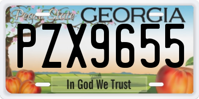 GA license plate PZX9655