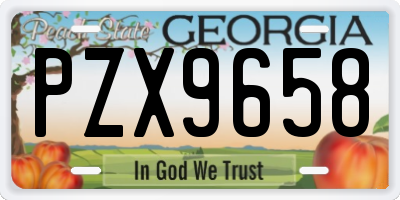 GA license plate PZX9658