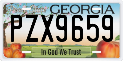 GA license plate PZX9659