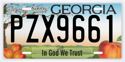 GA license plate PZX9661