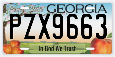 GA license plate PZX9663