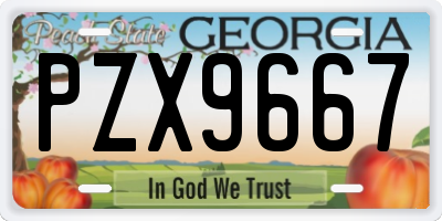 GA license plate PZX9667