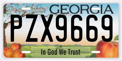 GA license plate PZX9669