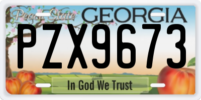 GA license plate PZX9673