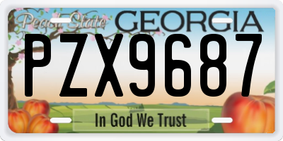 GA license plate PZX9687