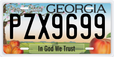 GA license plate PZX9699