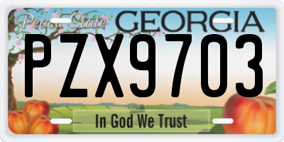 GA license plate PZX9703