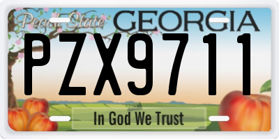 GA license plate PZX9711