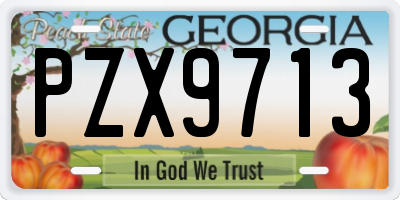 GA license plate PZX9713