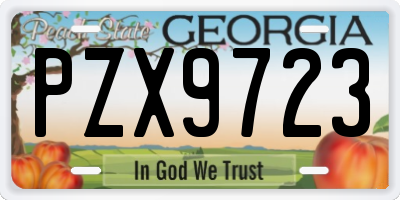 GA license plate PZX9723