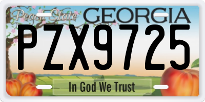 GA license plate PZX9725