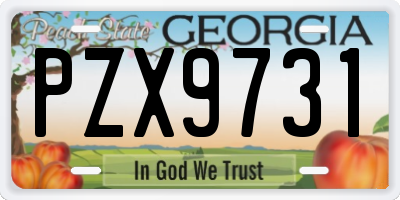 GA license plate PZX9731