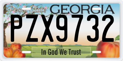 GA license plate PZX9732