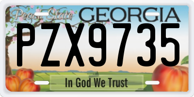 GA license plate PZX9735