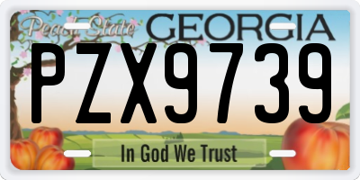 GA license plate PZX9739