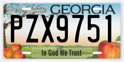 GA license plate PZX9751