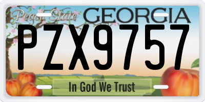 GA license plate PZX9757