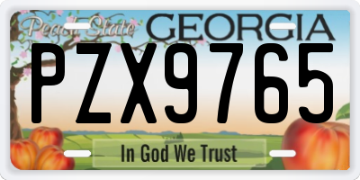 GA license plate PZX9765