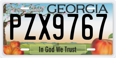 GA license plate PZX9767