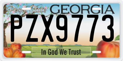 GA license plate PZX9773