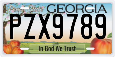 GA license plate PZX9789
